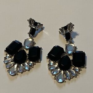 Elegant Black and Silver Earrings
